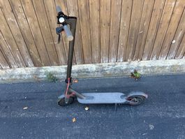 Elektro Tretroller