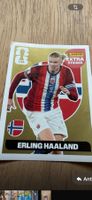 Panini Extra Sticker Erling Haaland World Cup 2026 GOLD