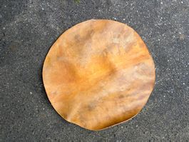 Trommelfell, Büffel Trommelhaut 60 cm 2,5 mm (Nr.53)