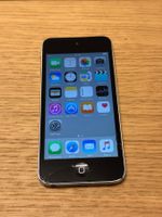 iPod Touch 5th gen