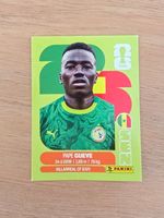 Panini Fifa SEN 11