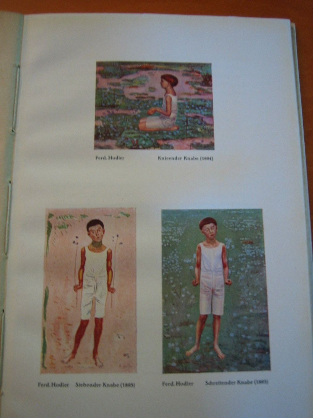 Libri: Das Leben Ferdinand Hodlers – Usato da Zürich venduto da Ralfli 1