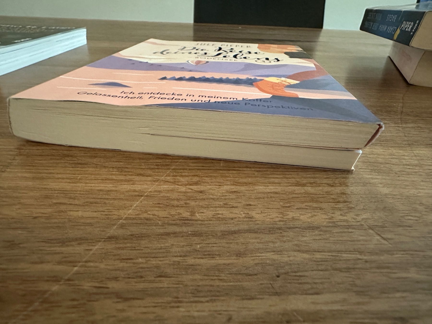 Bücher: Die Reise deines Lebens, 4, Bodensee, Jule Pieper – Gebraucht aus Winterthur von manelio113 1