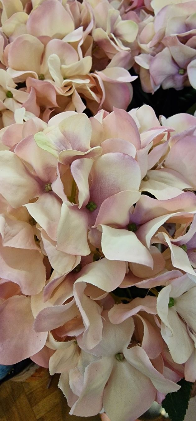 Piante & sementi: Deko Blume Rosa Hortensie mit Blättern – Nuovo e nell'imballaggio originale da Schaffhausen venduto da AtelierPudesco 3