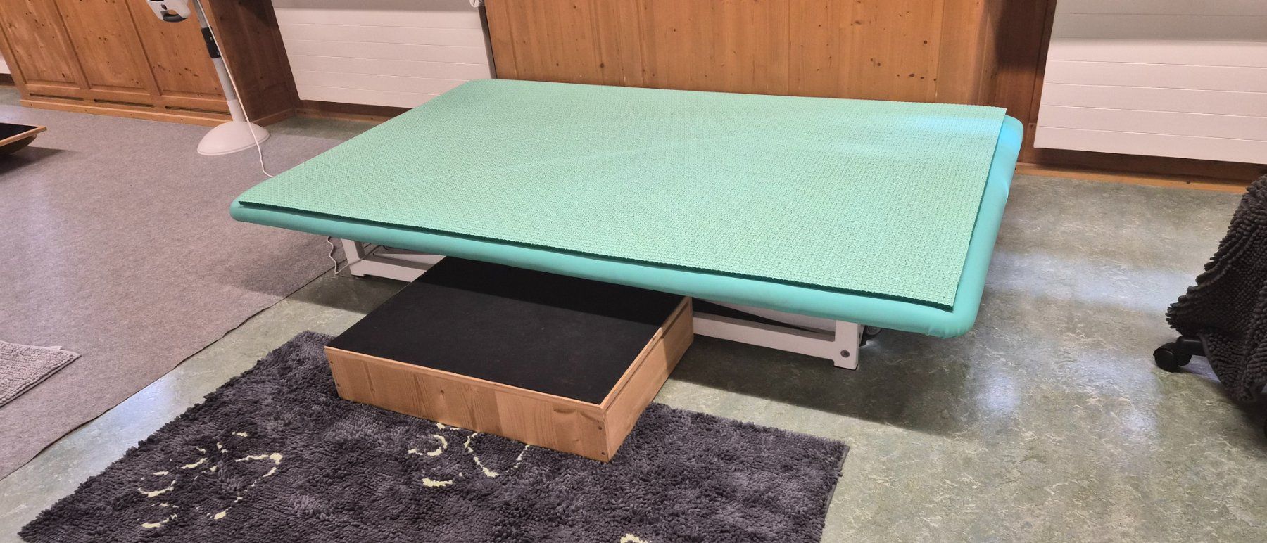 Sedie a sdraio: Bobath Spezialtherapieliege – Usato da Neschwil venduto da inf_gkd7 1