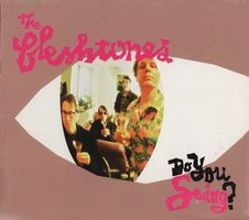CD The Fleshtones - Do you swing? (2003, Digipak)