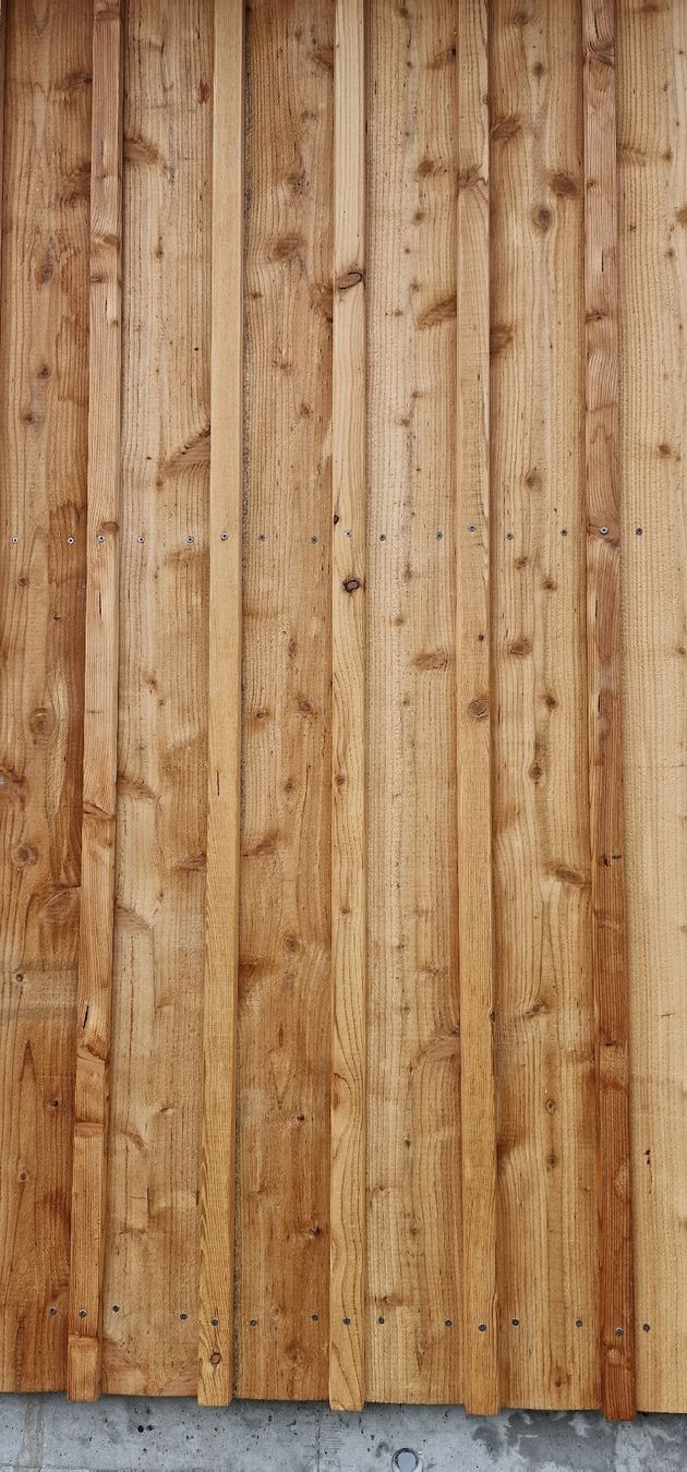 Articoli in legno: Lärchenbretter mit T-Leisten – Nuovo (secondo la descrizione) da Grasswil venduto da Hubus 4