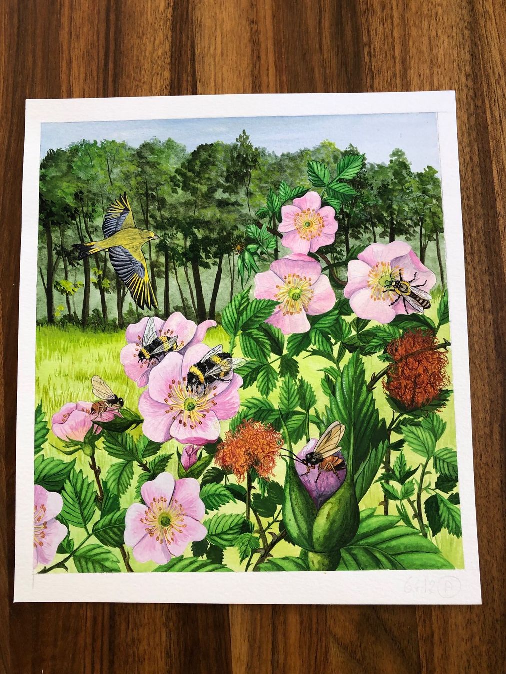Dipinti: Original Bild Wildrosen, handgemalt – Usato da Versoix venduto da chr_2rpz