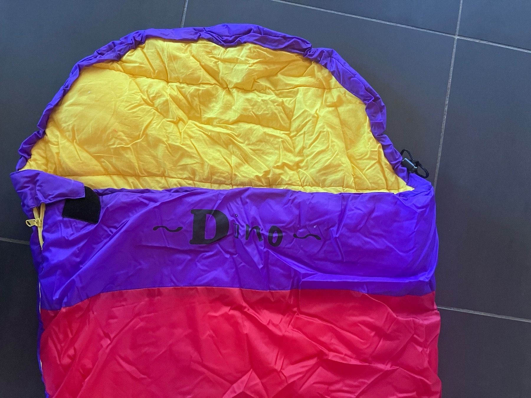 Sacchi a pelo: Kidsleepingbag Dino – Usato da Knonau venduto da ReMaaaan 5