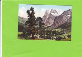 Kleine Scheidegg-Arven-Wetterhorn