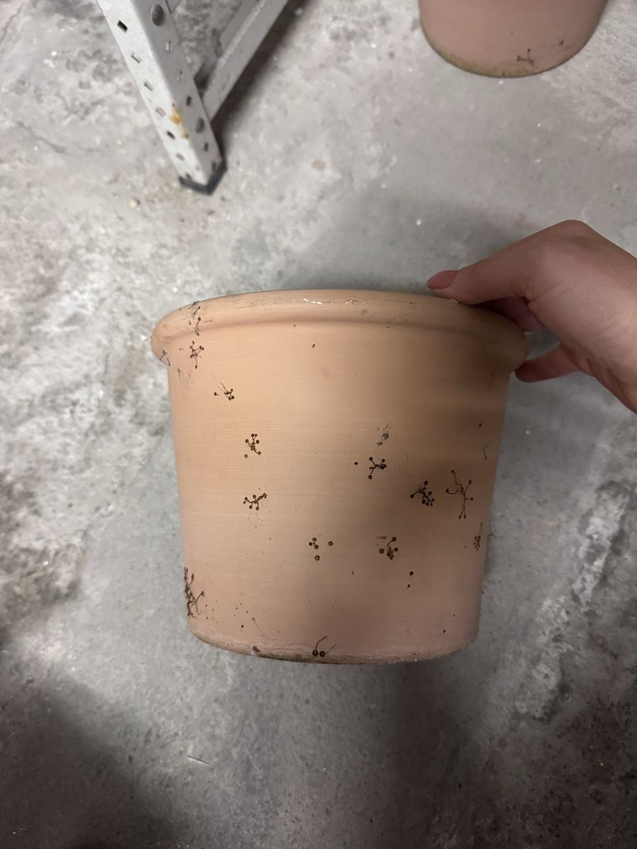 Migros Vasi per fiori: 4 Pflanzentöpfe aus Terrakotta – Usato da Bern venduto da Ania_ 3
