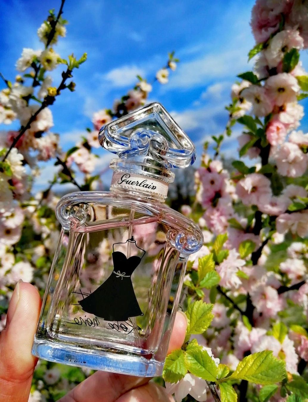 Guerlain Parfum & Eau de Toilette: Guerlain La Petite Robe Noire 12 ml sample – Neu (gemäss Beschreibung) aus Chêne-Bougeries von Seetooyoo 3