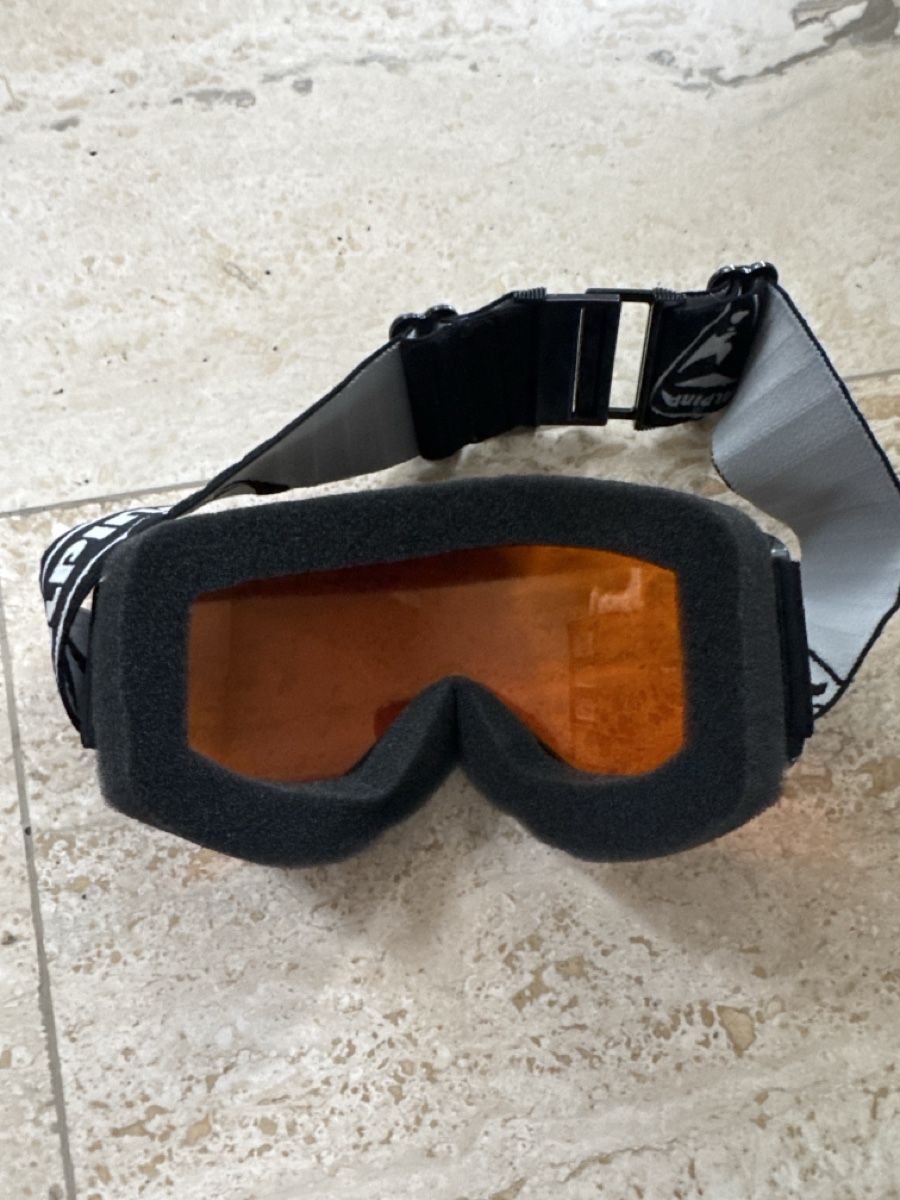 Alpina Occhiali & Lenti: Alpina Skibrille – Usato da Therwil venduto da dom_gfj8 1