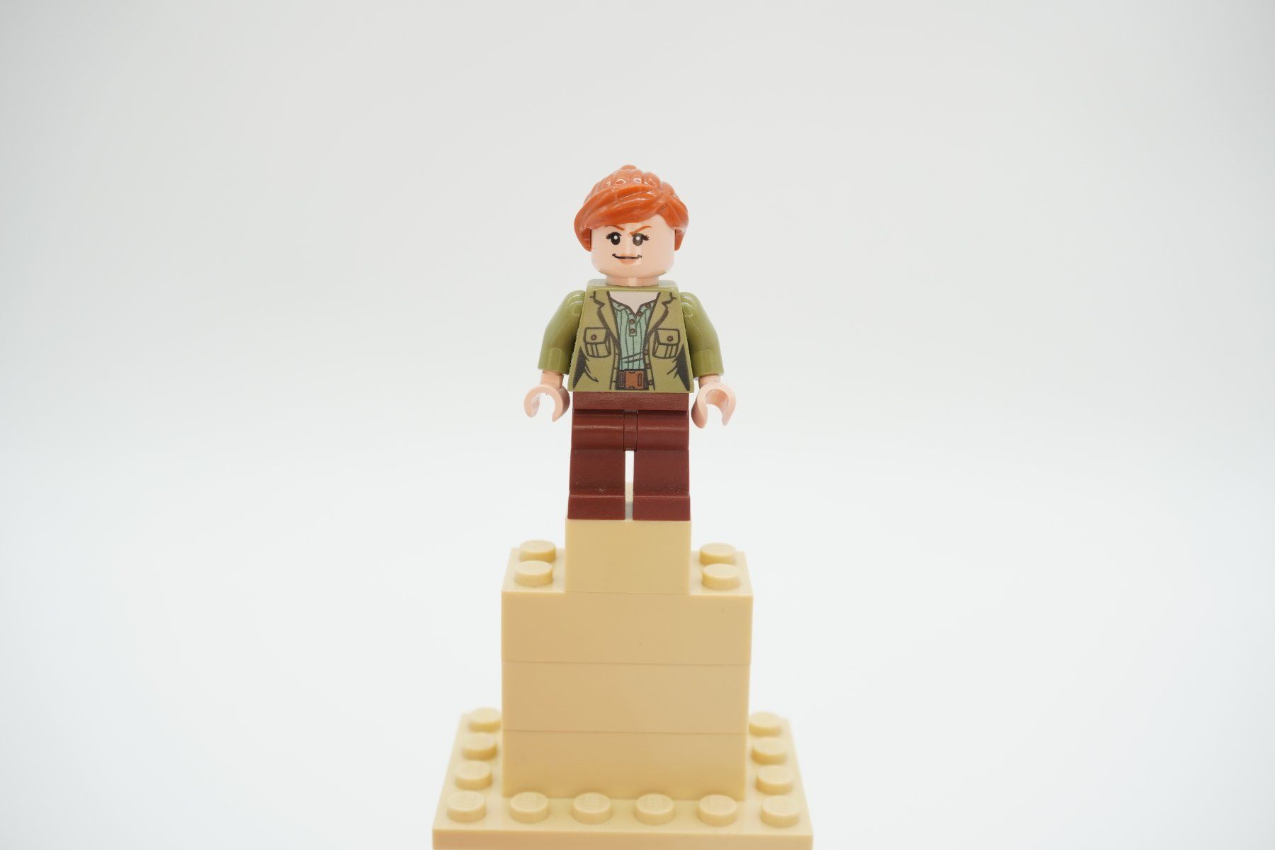 Lego Spielzeuge: Lego Jurassic World Bundle – Gebraucht aus Zürich von PWGrZ 3