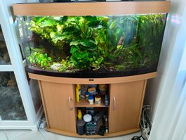 Juwel 260 Liter Aquarium mit Möbel und div. Zubehör