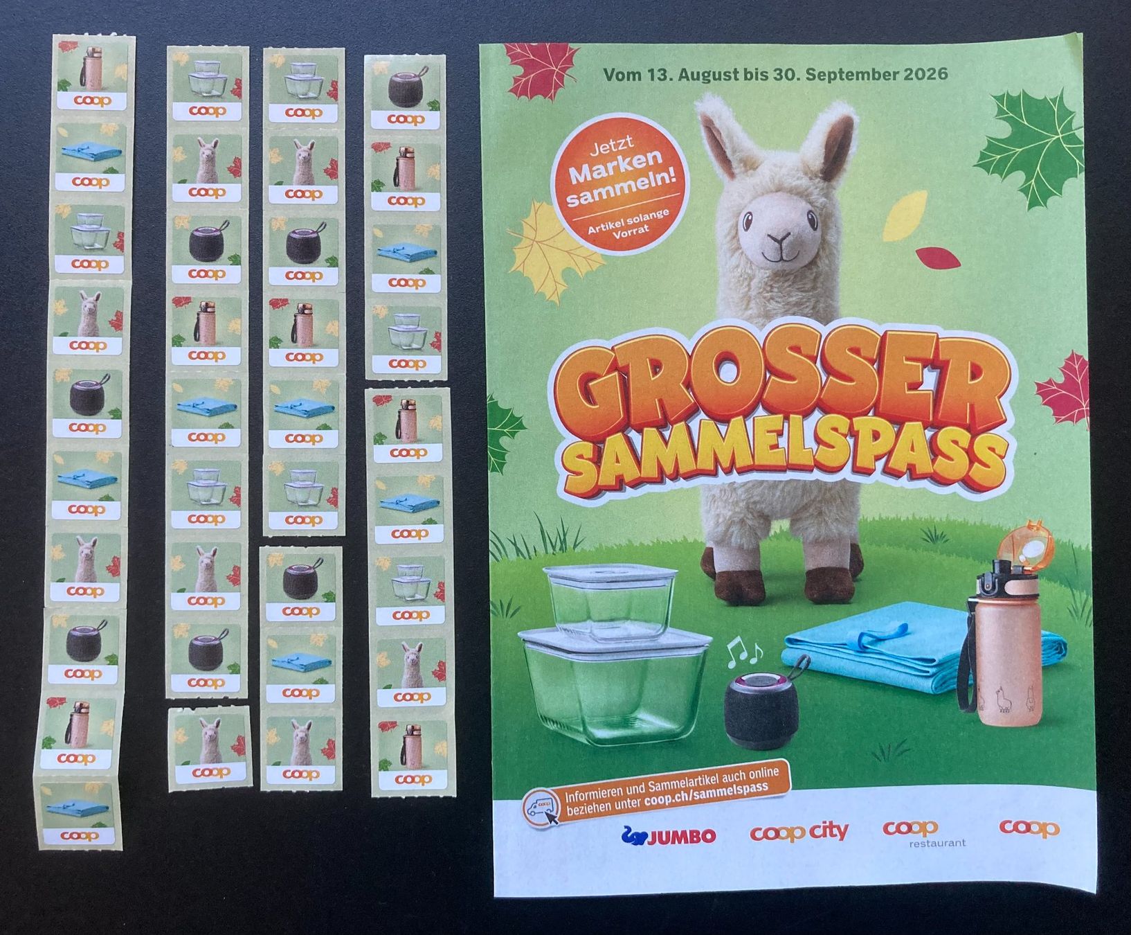 Coop Raccolte di bollini & punti: Coop Grosser Sammelspass – Usato da Neuenegg venduto da Betscha111