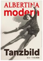 Schönes Plakat Tanzbild Albertina Wien