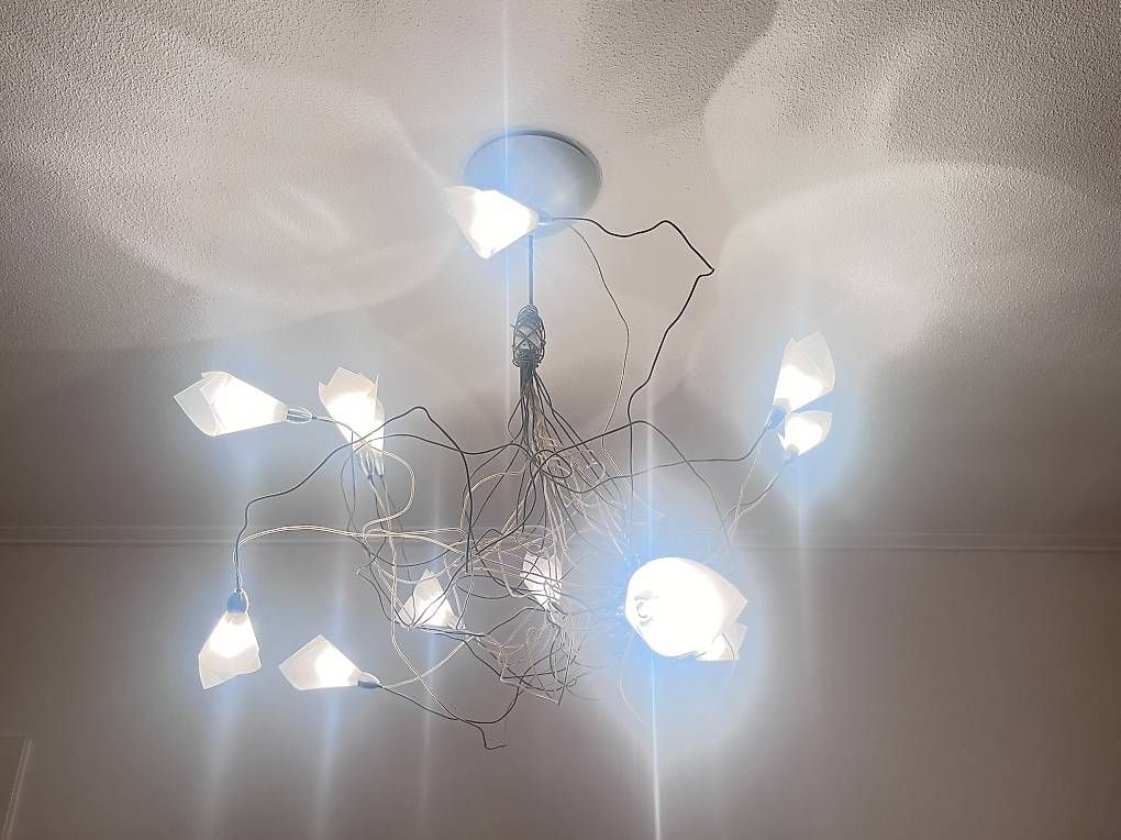 Lampadari & plafoniere: Lampe à suspension forale et design – Usato da Lausanne venduto da Ariel_Zimann