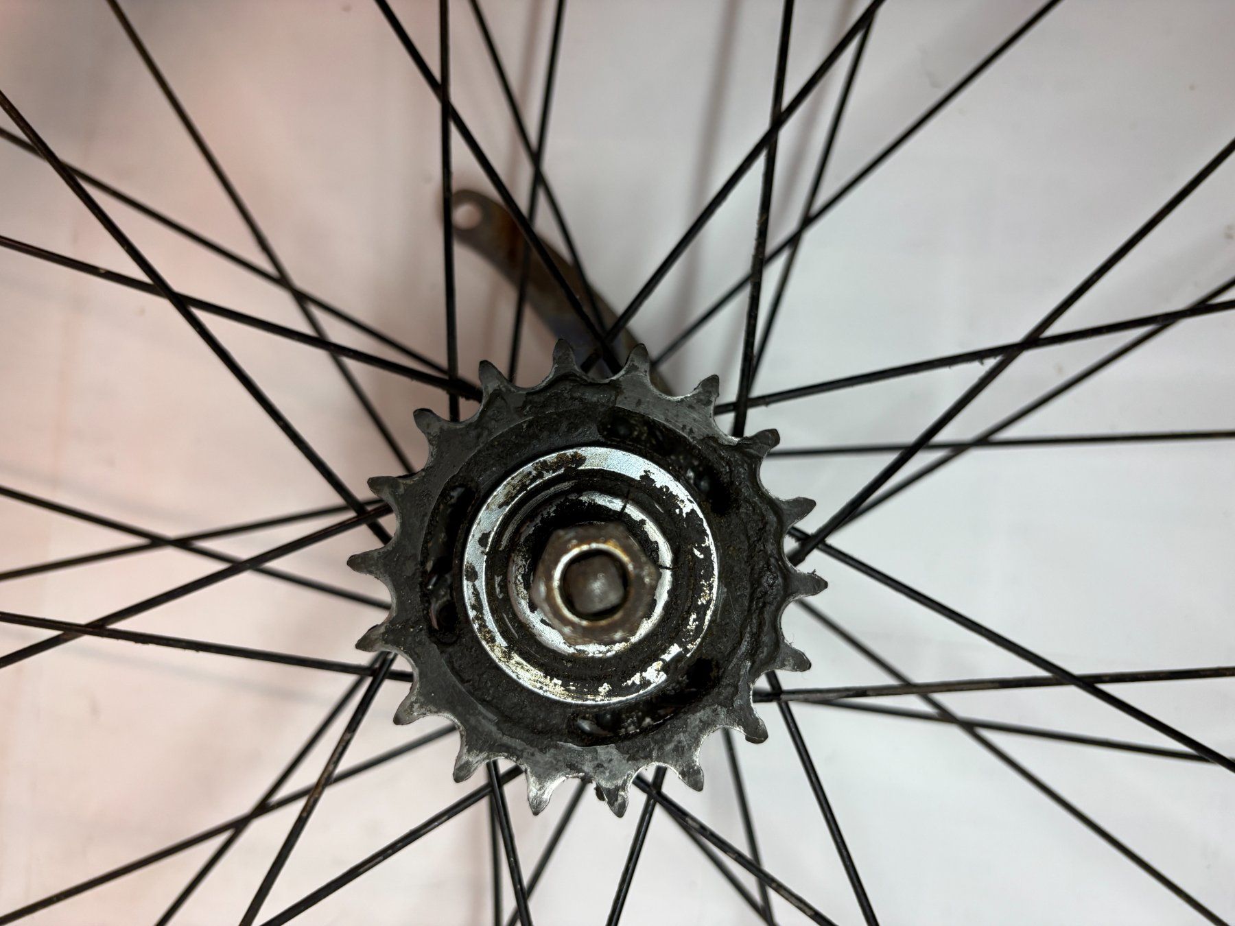 Pneumatici & Ruote complete: Velo Hinterrad mit Styria Nabe, Eingang, Rücktritt, Retro – Usato da Herzogenbuchsee venduto da chisu51 4
