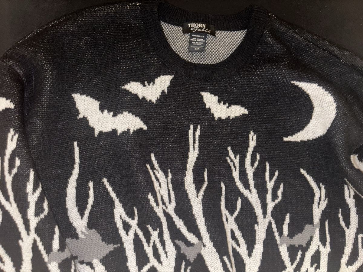 Pulls & Sweat-shirts: Hot topic Pullover – Neuf (Voir description) à Andelfingen par Good_Quality 1