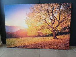 Tableau nature 