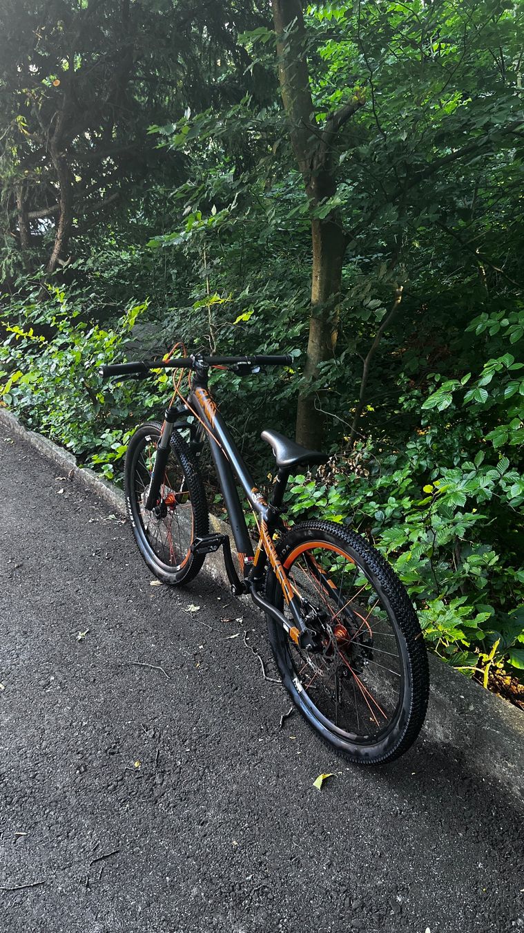 Velos: Ns Bikes clash 24 mit Scheibenbremsen. – Gebraucht aus zürich von landy88 3
