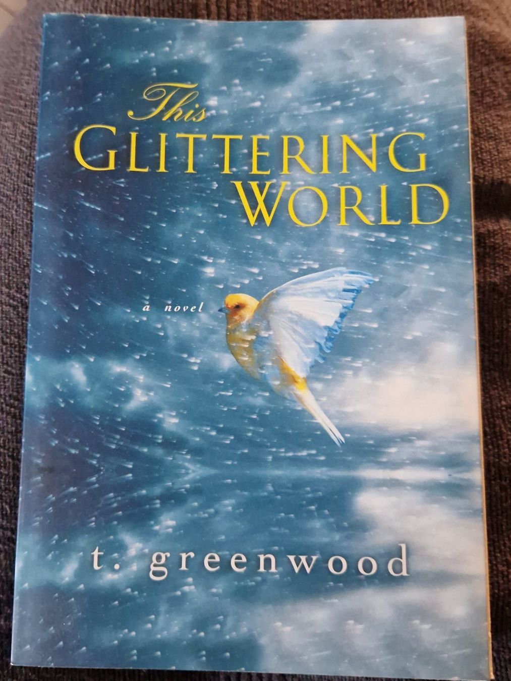 Libri: T. Greenwood This Glittering World – Usato da Neuhausen am Rheinfall venduto da Alchimista