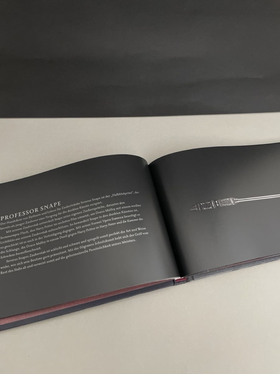Libri: Harry Potter Das Buch der Zauberstäbe – Nuovo (secondo la descrizione) da Aesch BL venduto da ell_8zv7 2