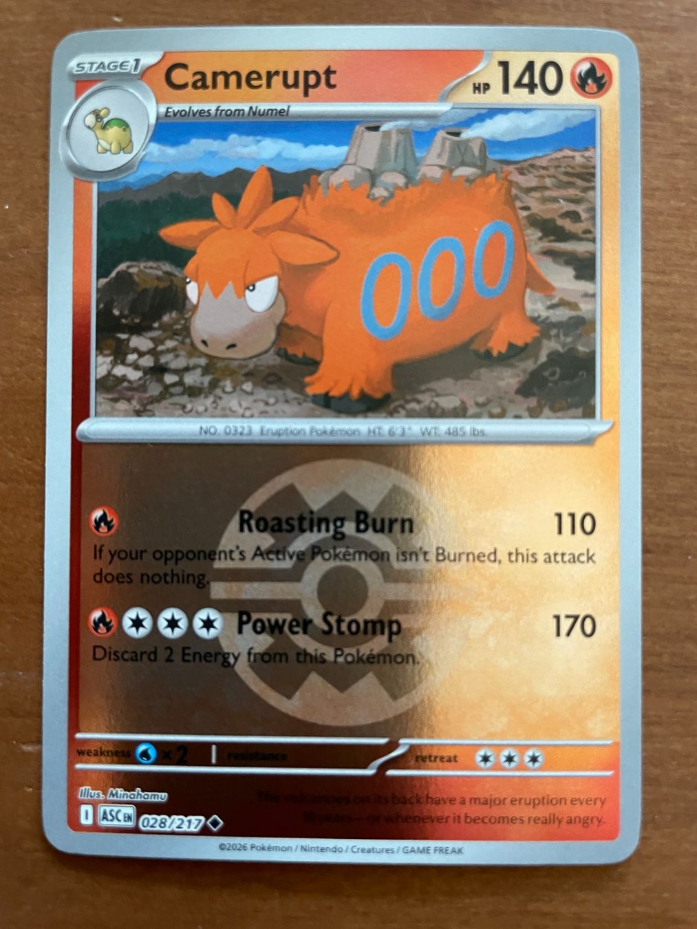 Pokémon Carte collezionabili: Pokemon Camerupt Reverse (Versand gratis) – Nuovo (secondo la descrizione) da Chur venduto da Angerson