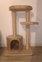 Katzenbaum Kratzbaum
