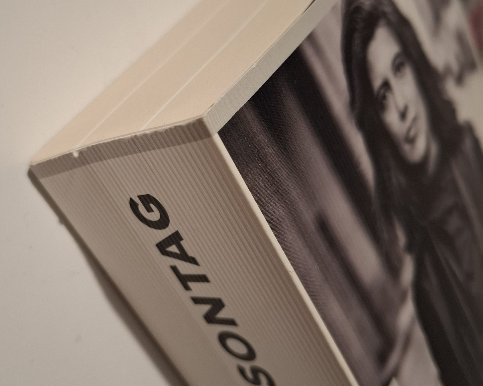 Libri: Susan Sontag - Die Biografie, Benjamin Moser – Usato da Zürich venduto da apf_b8zl 2