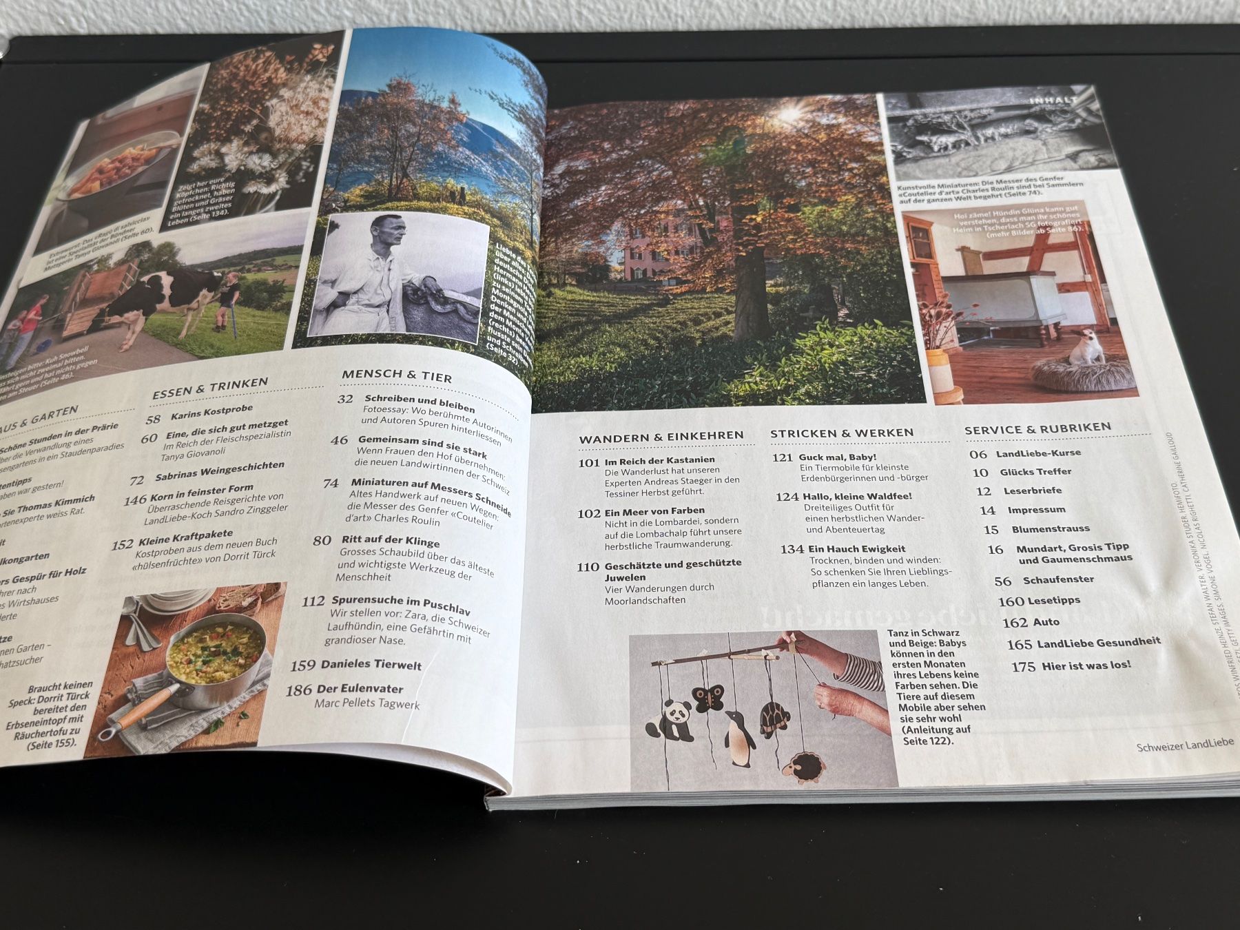 Riviste & Magazine: Schweizer Landliebe Nr 7 Herbst 2024 – Usato da Zürich venduto da ch3906 1