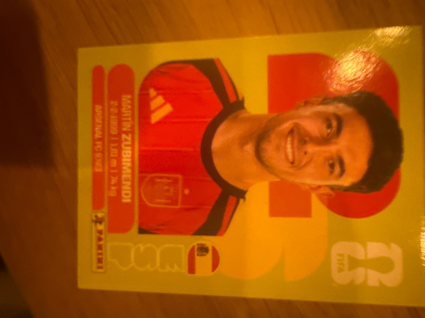Panini Carte collezionabili: Panini – Usato da Langnau i. E. venduto da Acrjl