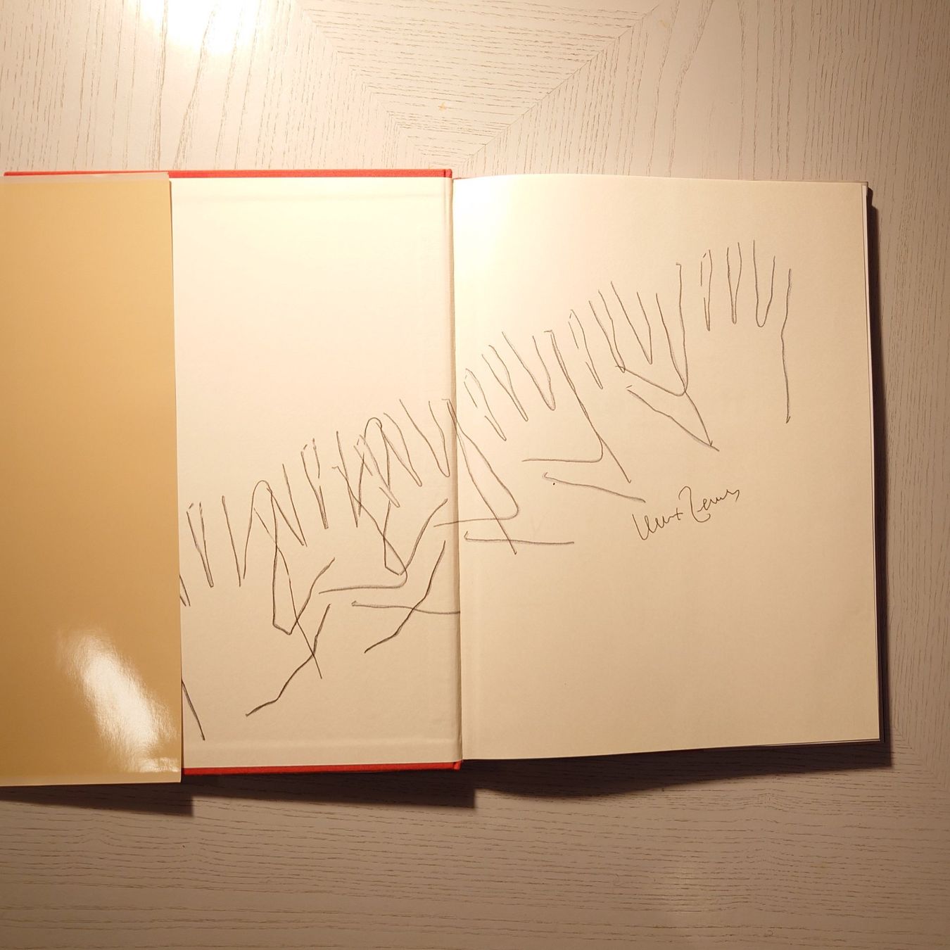 Bücher: INGEBORG TEN HAEFF. John Githens. Erstausgabe SIGNIERT.2004 – Gebraucht aus Zürich von Simple23 3