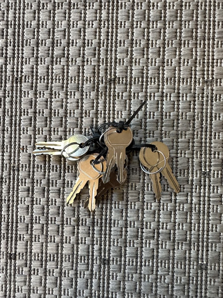 Thule Barres de toit: 4 THULE Veloträger ProRide – D'occasion à Schwyz par Kolreuteria 5