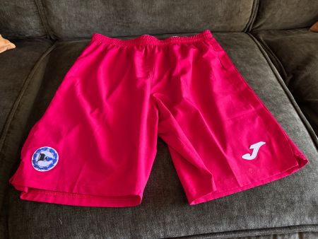 ARMINIA BIELEFELD AUSWÄRTSTRIKOT Shorts - Top Zustand