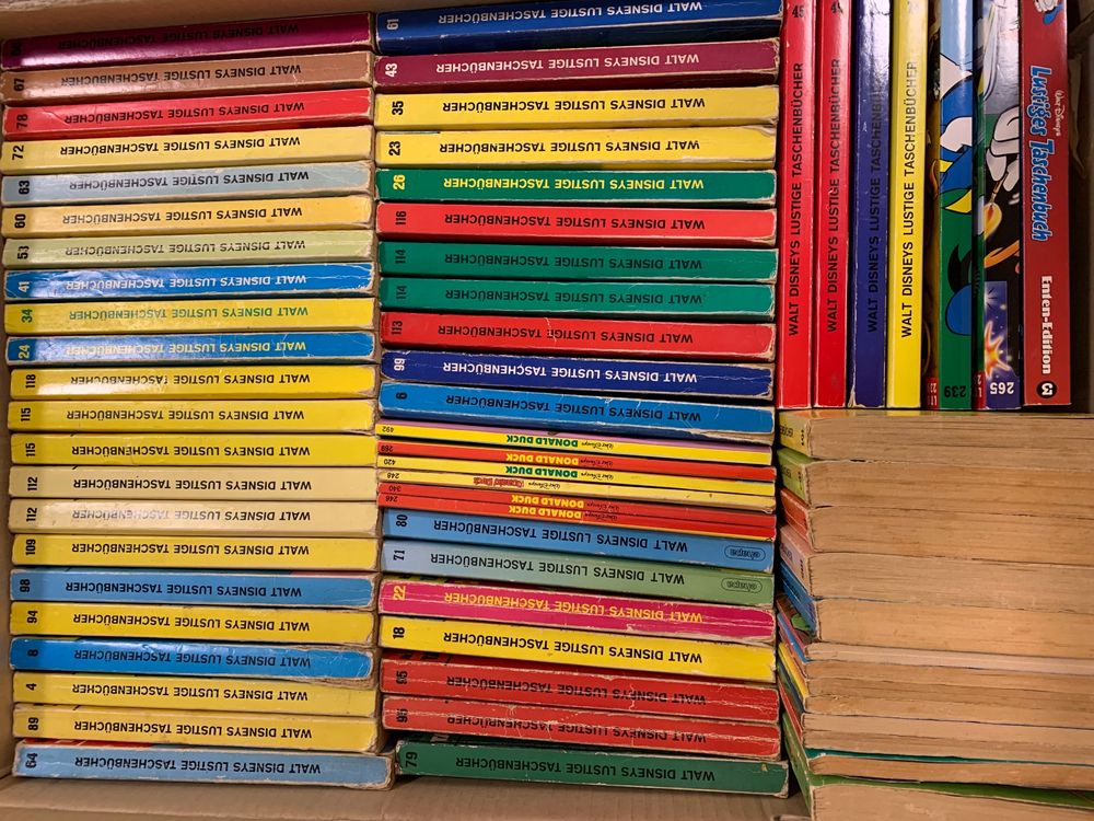 GmbH Heftordner Mit Eulen Design - A4 Heftbox Mit Gummizug