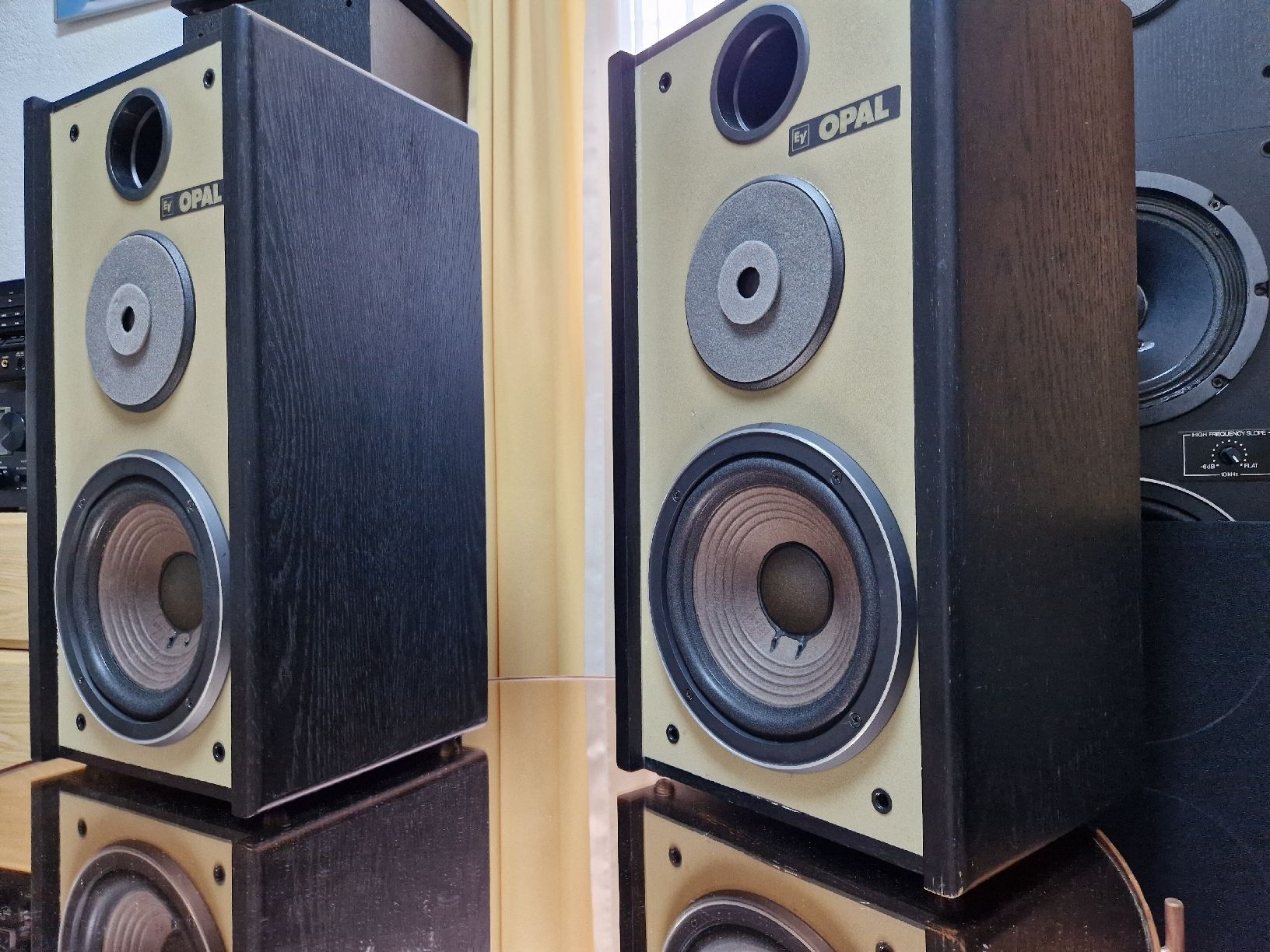 Electro-voice Lautsprecher: Elektro Voice Opal  – Gebraucht aus Arbon von Mayak_Sound 3