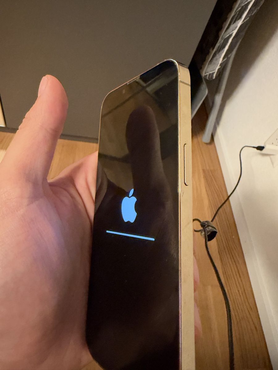 Apple Telefoni cellulari / Smartphones: Iphone 13 pro 128 GB – Usato da Erlinsbach venduto da RubenC16 3