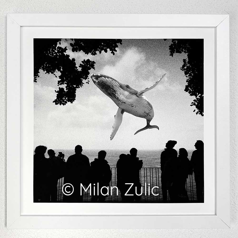 Foto & Immagini: Travel postcards 009 – Nuovo (secondo la descrizione) da Uetikon am See venduto da mil_7k2b