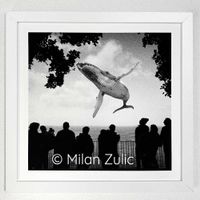 Travel postcards 009