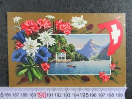 URNERSEE TELLSKAPELLE BOOT DAMPFER URI AK