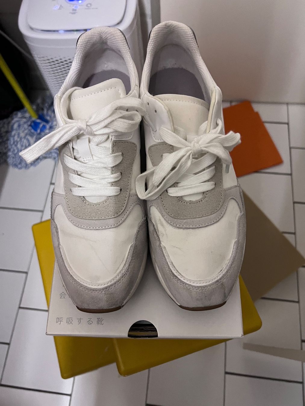 Geox Scarpe da donna: Sneakers Geox – Usato da Caslano venduto da Elena61 1