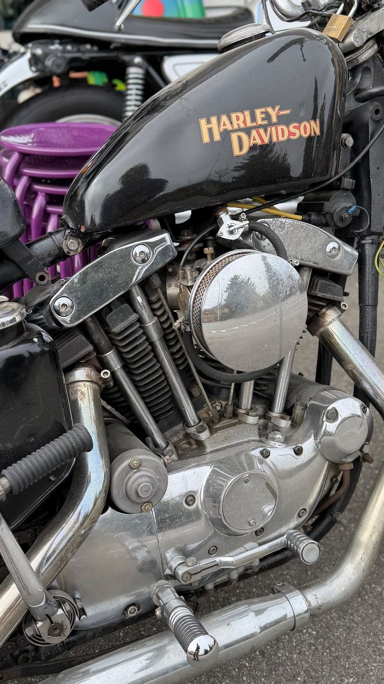 Harley-Davidson Chopper: Harley-Davidson, Ironhead 1974 – Usato da Wildegg venduto da otown-brocki 7