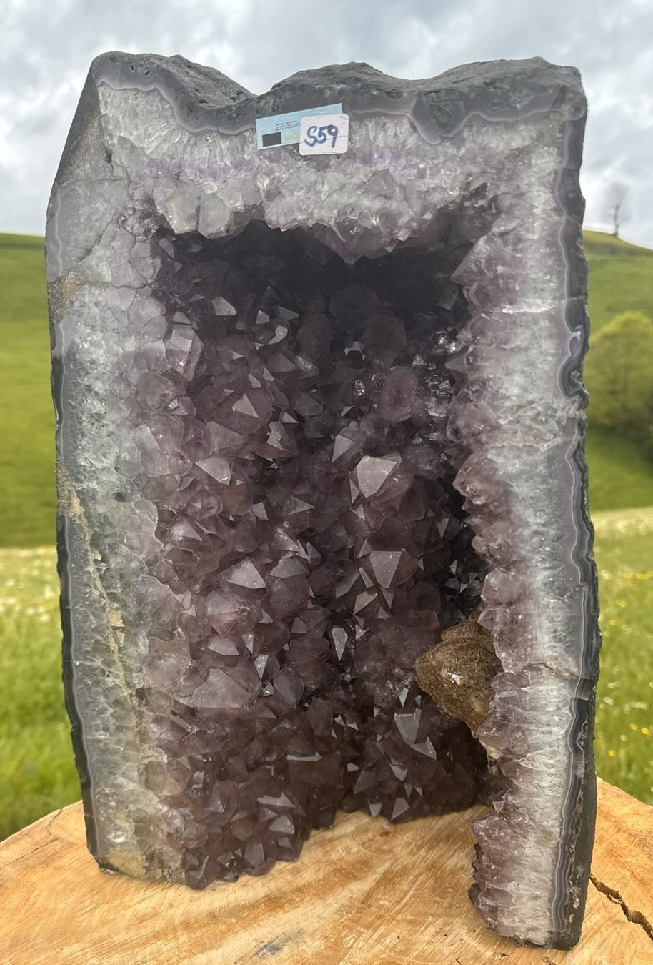 Mineralien & Heilsteine: Prächtige Amethystdruse aus Brasilien – Neu (gemäss Beschreibung) aus Rheineck von  3