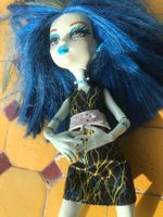 Monster High 27cm Doll (Repaired)