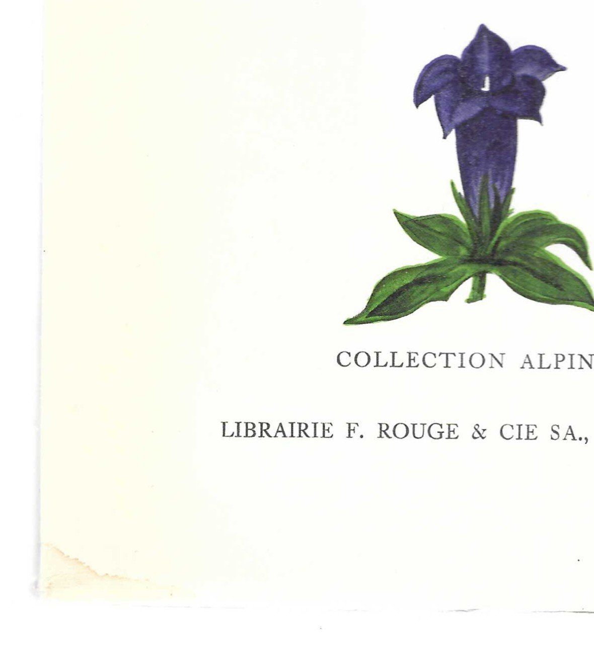 Bücher: MON CARNET DE COURSE   ( ANDRE ROCK ) – Gebraucht aus Bex von Giorgiob 1