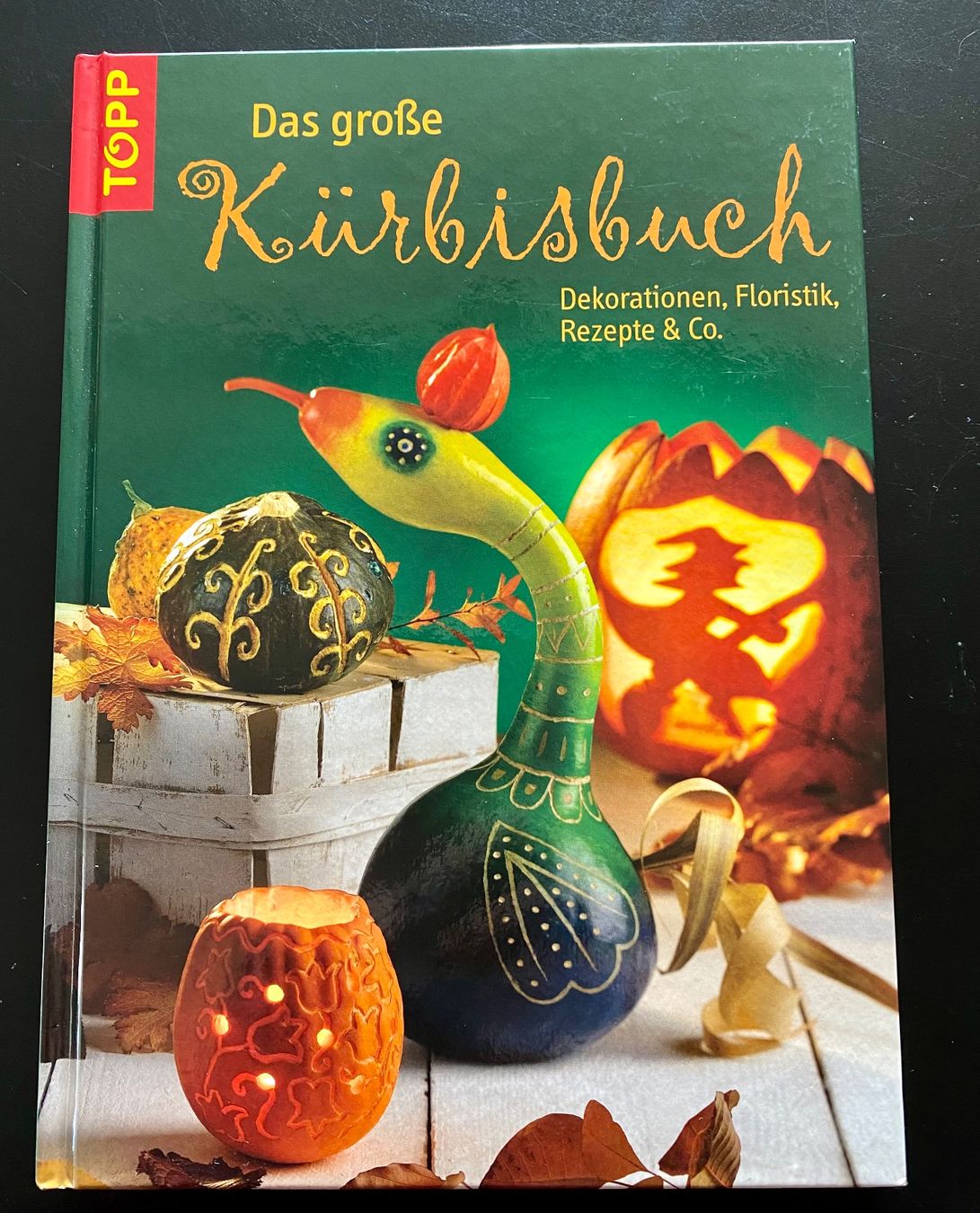 Bücher: Das grosse Kürbisbuch – Gebraucht aus Nussbaumen AG von schuba2000