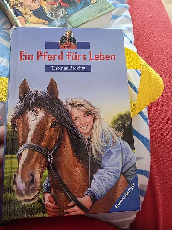 Libri: Bücher divers 2 – Usato da Safenwil venduto da Brumanu01 2