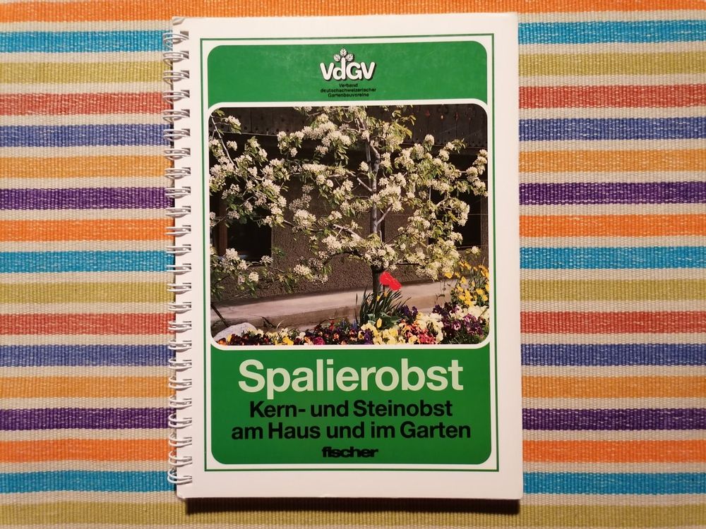 TOP Spalierobst💥 Kern und Steinobst am Haus und im Garten Kaufen auf